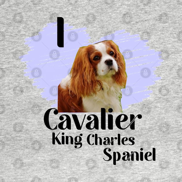 Cavalier King Charles Spaniel by Carolina Cabreira